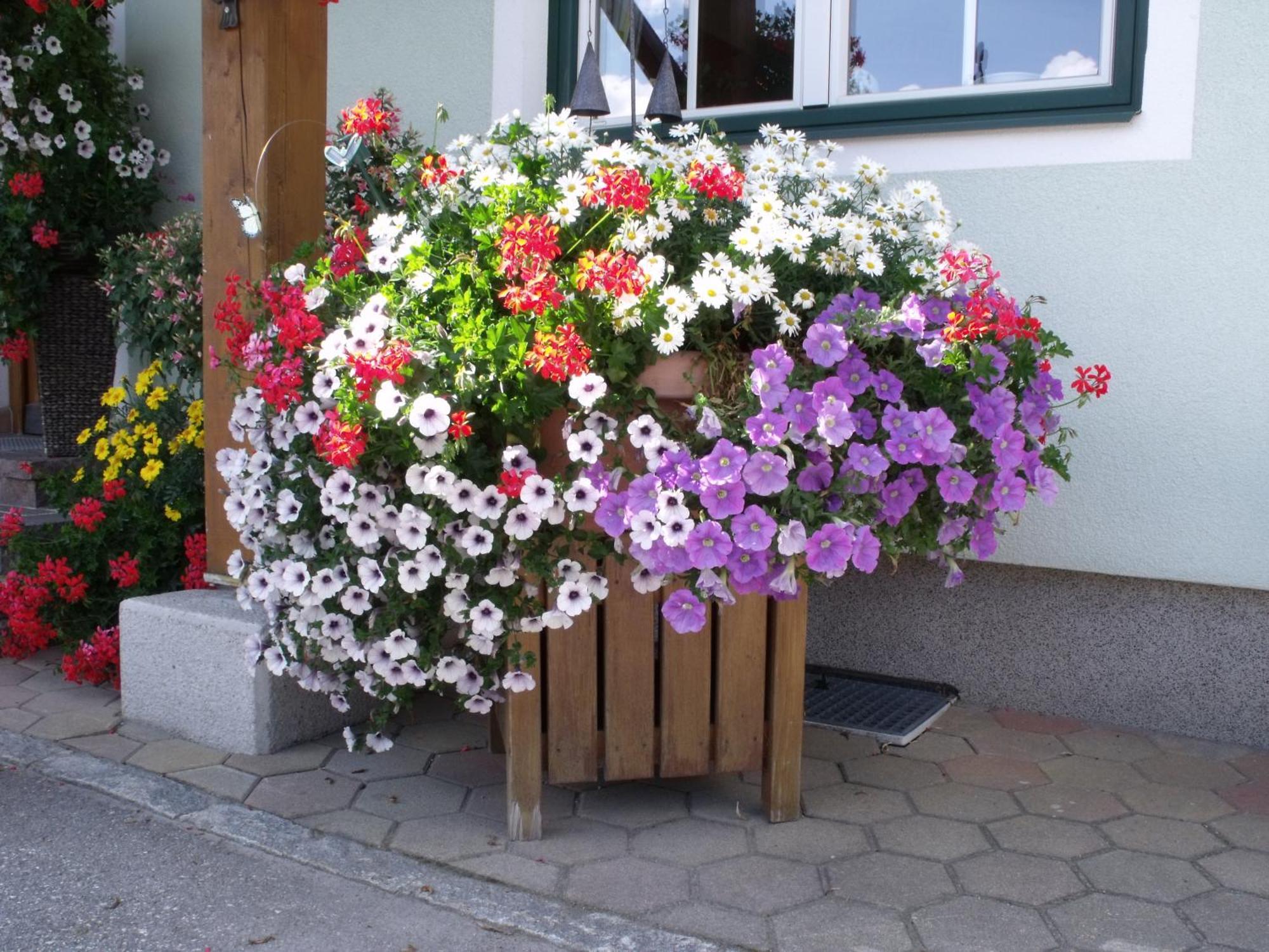 Appartements Bacherhof Schladming Esterno foto
